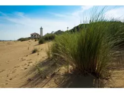 Bild zur gratis inserierten Ferienwohnung Ferienwohnung-48389.