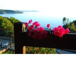 Bild zur gratis inserierten Ferienwohnung Ferienhaus-156184.