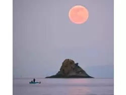 Ferienwohnung Ferienwohnung-205075 in Gioiosa Marea - 4 Personen, Hund erlaubt