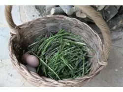 Ferienwohnung Ferienwohnung-221339 in Amaroni - 4 Personen, Hund nicht erlaubt