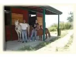 Ferienwohnung Ferienwohnung-227373 in Gioiosa Marea - 4 Personen, Hund erlaubt