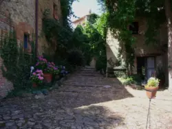 Bild zur gratis inserierten Ferienwohnung Ferienhaus-231743.