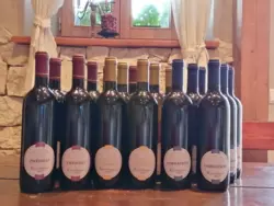 Bild zur gratis inserierten Ferienwohnung Ferienwohnung-313287.