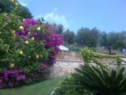 Ferienwohnung Ferienwohnung-351166 in Finale Ligure - 4 Personen, Hund erlaubt