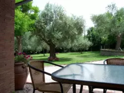 Ferienwohnung Ferienwohnung-352688 in Morro d'Alba - 6 Personen, Hund nicht erlaubt