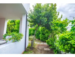 Bild zur gratis inserierten Ferienwohnung Ferienhaus-372630.