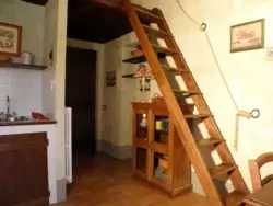 Ferienwohnung Ferienwohnung-388281 in Monteleone d'Orvieto - 4 Personen, Hund erlaubt