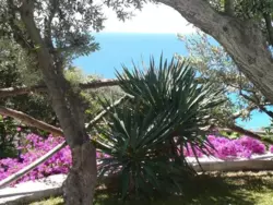 Bild zur gratis inserierten Ferienwohnung Ferienwohnung-398631.