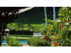 Bild zur gratis inserierten Ferienwohnung Ferienwohnung-406935.