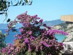 Ferienwohnung Ferienwohnung-416425 in Finale Ligure - 4 Personen, Hund erlaubt