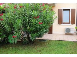 Bild zur gratis inserierten Ferienwohnung Ferienwohnung-425661.