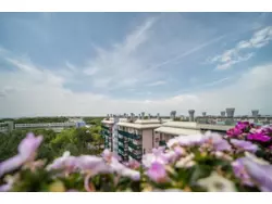 Bild zur gratis inserierten Ferienwohnung Ferienwohnung-428282.