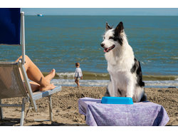 Bild zur gratis inserierten Ferienwohnung Ferienhaus-428669.