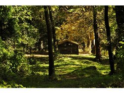 Ferienwohnung Ferienwohnung-440352 in Maissana - 5 Personen, Hund nicht erlaubt