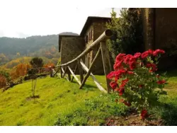 Ferienwohnung Ferienwohnung-440353 in Maissana - 4 Personen, Hund nicht erlaubt