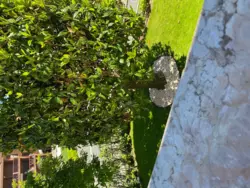 Bild zur gratis inserierten Ferienwohnung Ferienwohnung-492061.