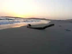 Bild zur gratis inserierten Ferienwohnung Ferienhaus-496043.