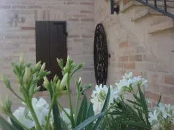 Bild zur gratis inserierten Ferienwohnung Ferienhaus-497291.