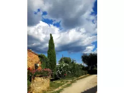 Bild zur gratis inserierten Ferienwohnung Apartment-624228.