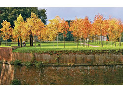 Bild zur gratis inserierten Ferienwohnung Ferienwohnung-632506.