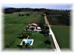 Ferienwohnung Ferienwohnung-647285 in Torgiano - 6 Personen, Hund erlaubt