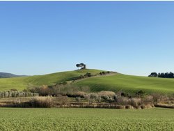 Ferienhaus Ferienhaus-677533 in Bibbona - 6 Personen, Hund nicht erlaubt
