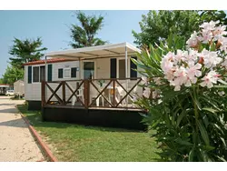 Bild zur gratis inserierten Ferienwohnung Ferienwohnung-724948.