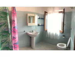 Ferienwohnung Ferienwohnung-745413 in Fauglia - 3 Personen, Hund erlaubt