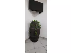 Bild zur gratis inserierten Ferienwohnung Ferienwohnung-748660.