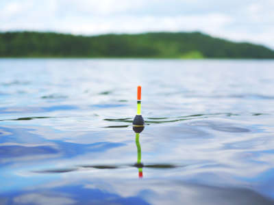 Pose auf dem See