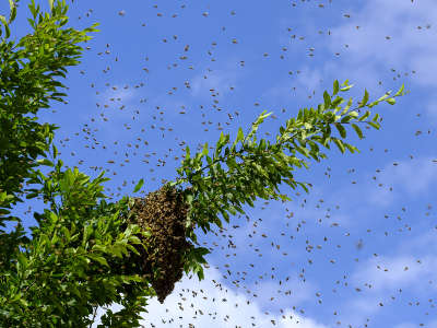 Bild zum Thema Gruppenurlaub